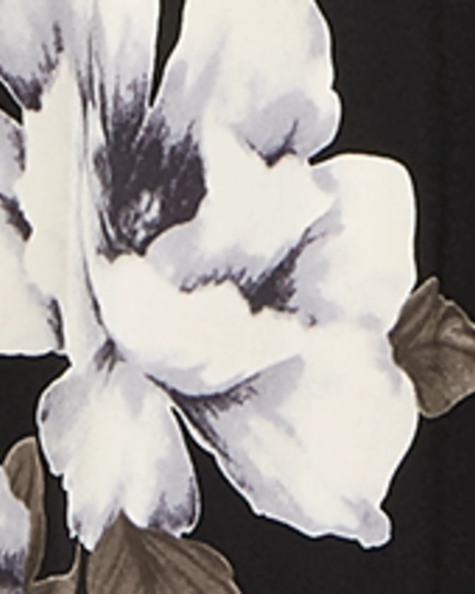 Albizia Cowl Neck Dress | Black / White