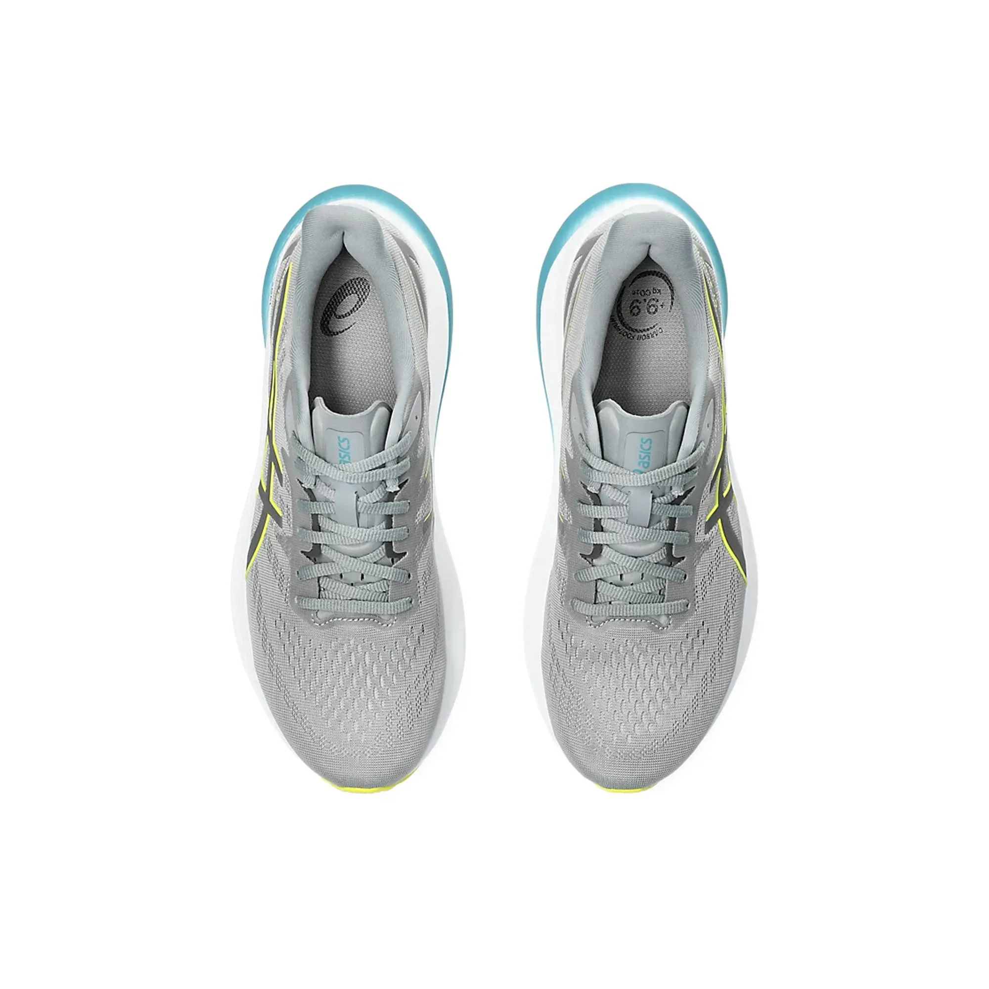 Asics Mens GT-2000 Shoes