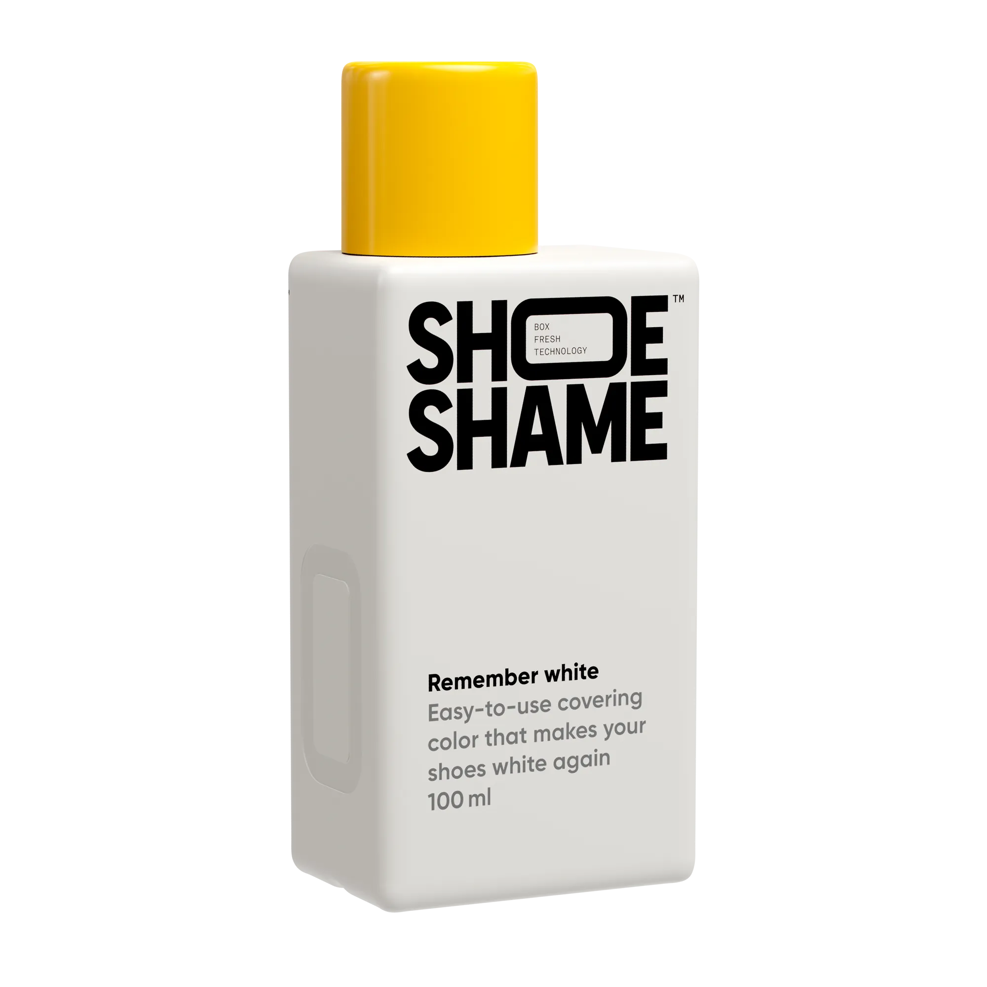 'Ultimate Sneaker Maintenance'