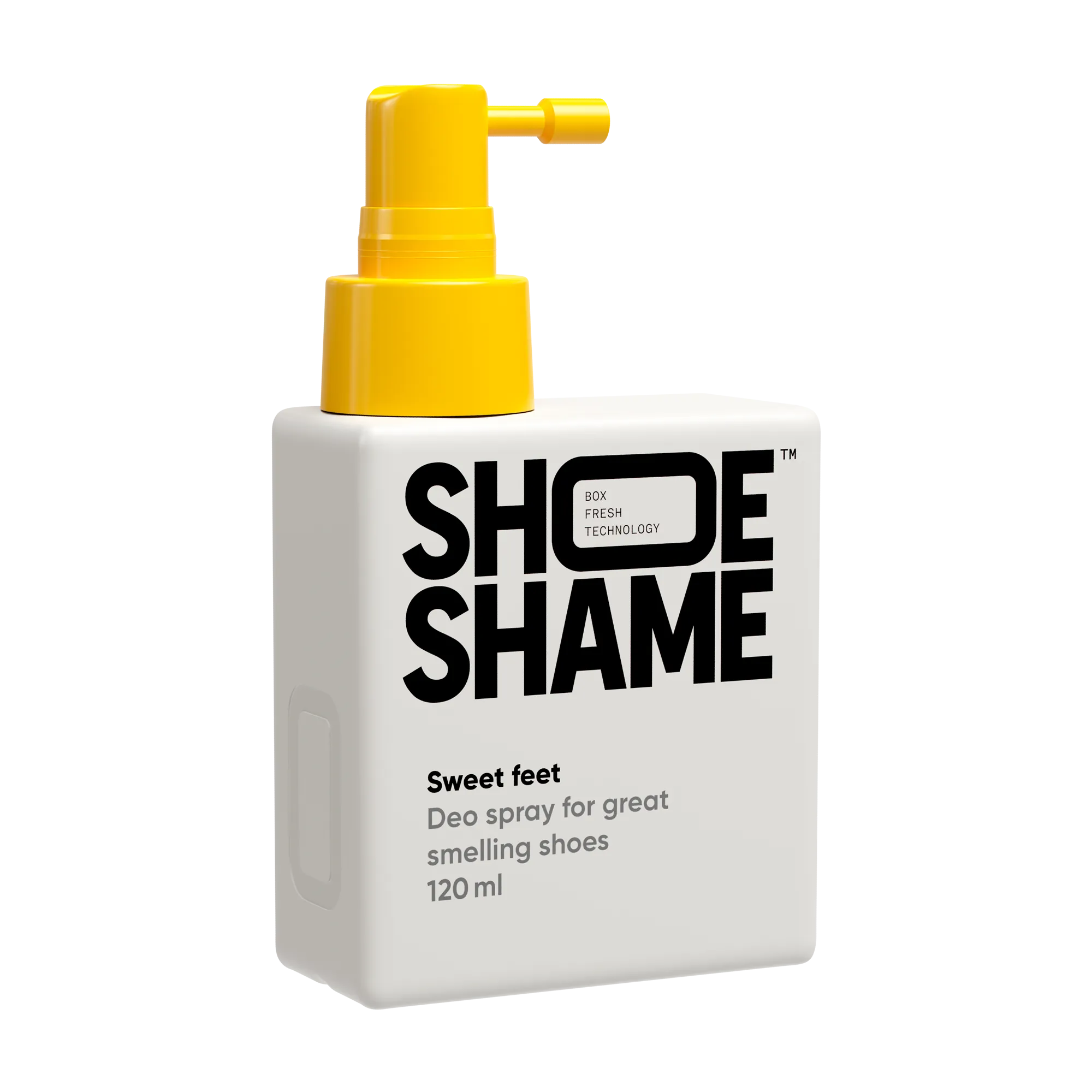 'Ultimate Sneaker Maintenance'